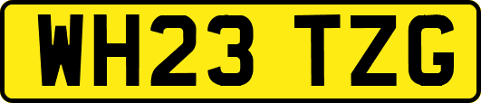 WH23TZG