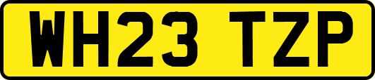 WH23TZP