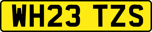 WH23TZS
