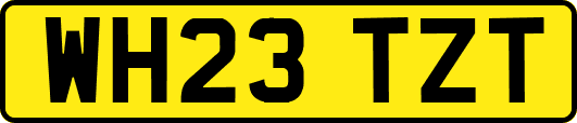 WH23TZT