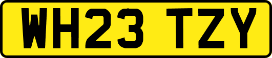 WH23TZY