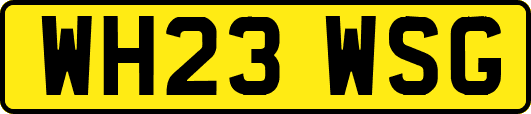 WH23WSG