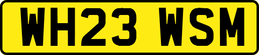 WH23WSM