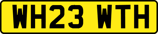 WH23WTH