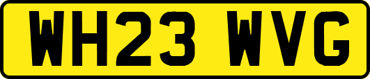 WH23WVG