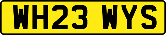 WH23WYS