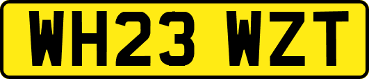WH23WZT