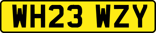 WH23WZY