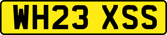 WH23XSS