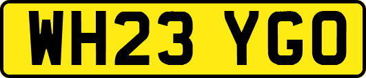 WH23YGO