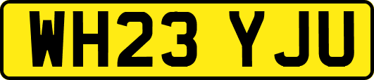 WH23YJU