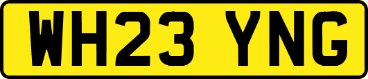 WH23YNG
