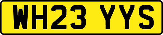 WH23YYS