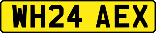 WH24AEX