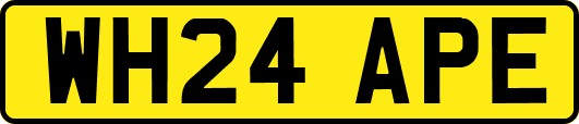 WH24APE