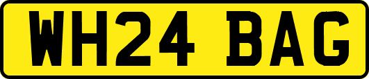 WH24BAG