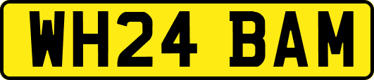 WH24BAM