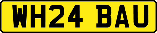 WH24BAU