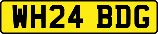 WH24BDG