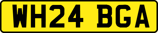 WH24BGA