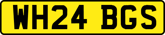 WH24BGS