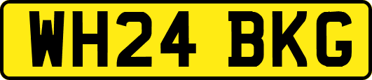 WH24BKG
