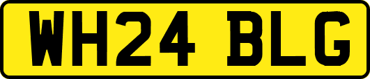 WH24BLG