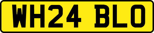 WH24BLO