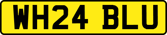 WH24BLU