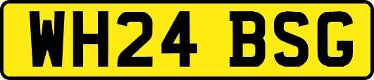 WH24BSG