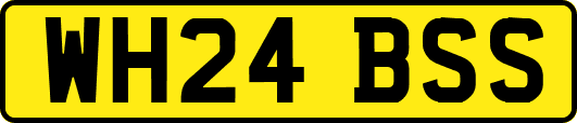 WH24BSS