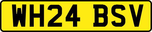 WH24BSV