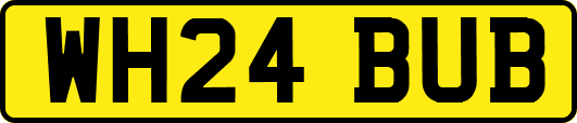 WH24BUB