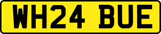 WH24BUE
