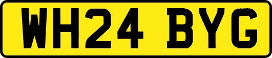 WH24BYG