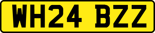 WH24BZZ