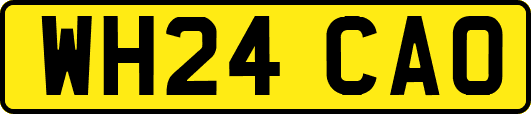 WH24CAO