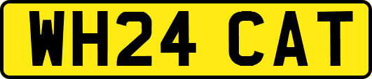WH24CAT