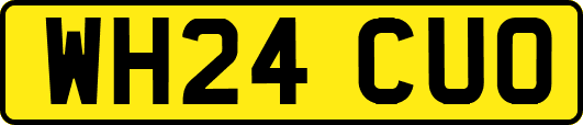 WH24CUO