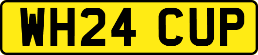 WH24CUP
