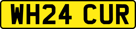 WH24CUR