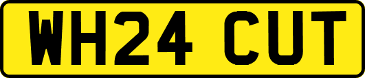 WH24CUT