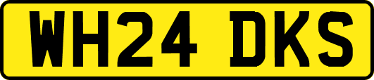 WH24DKS