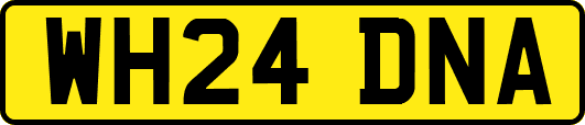 WH24DNA