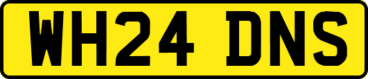 WH24DNS