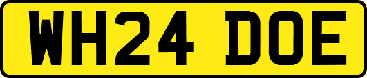 WH24DOE