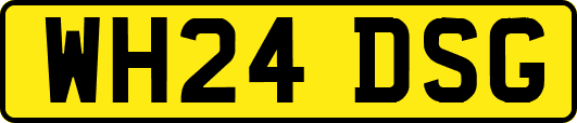 WH24DSG