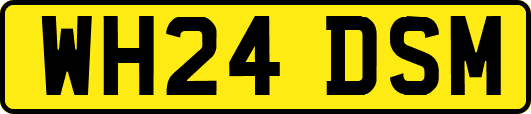 WH24DSM