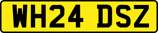 WH24DSZ