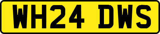 WH24DWS